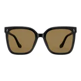 Яркий черный поляризованные линзы чайного цвета