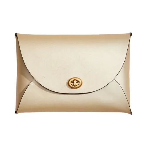 COACH Pouch Кожа Сумка для документов Клатч Маленький Женский Металлик