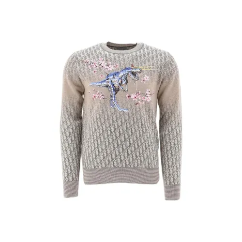 DIOR x SORAYAMA Трикотаж Мужской Экрю