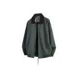 Серый Зеленый