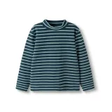 Бирюзовый Тон 00484