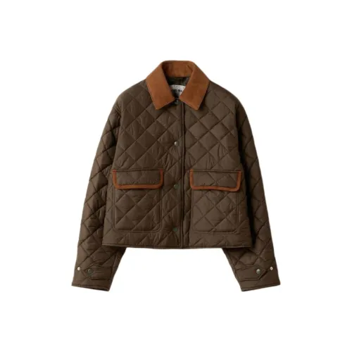 MIU MIU Темно-коричневый женский пуховик