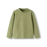 Зелёный кофейный тон 00445