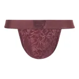 [Шиповник Красный]