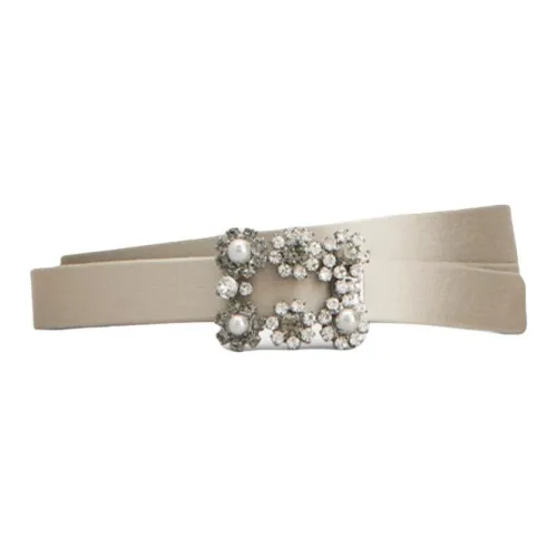 Roger Vivier Ткань Кожаные ремни Унисекс Серебряный Ширина 1,5CM