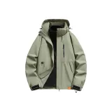 Горох Зеленый