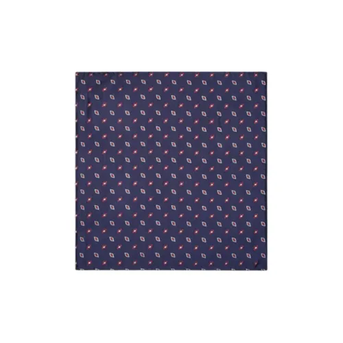 AMANI Шарфы из шелка тутового дерева Мужской Морской синий