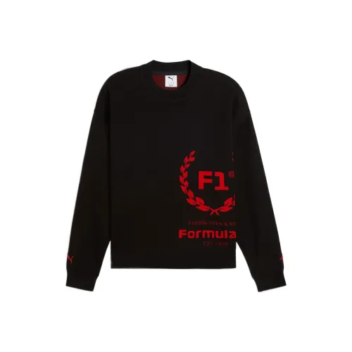 PUMA F1® Черные Мужские Свитшоты
