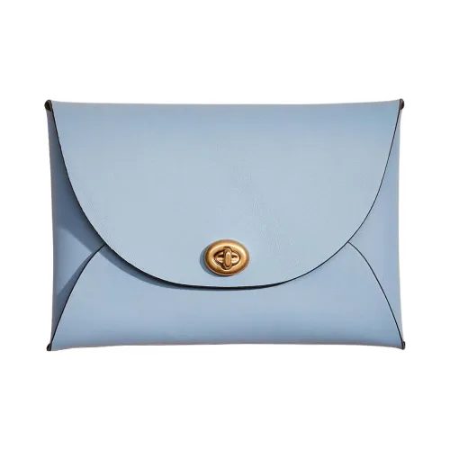 COACH Pouch Кожа Сумка для документов Клатч Маленький Женский Светло-Синий