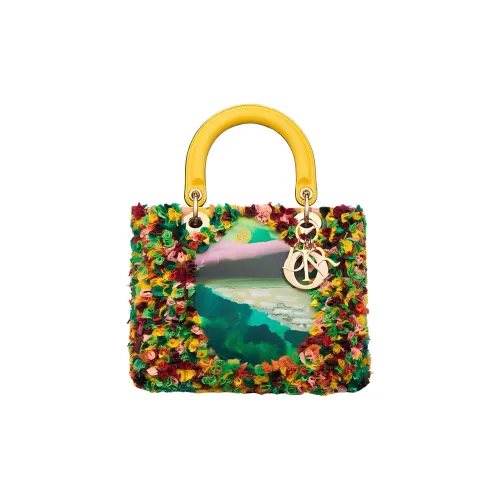 DIOR Телячья кожа Сумка Lady Dior Сумка Женская Многоцветная