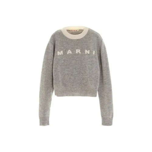 Marni Серый Kids Свитера