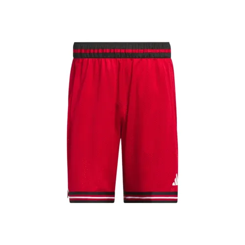 Adidas Louisville Баскетбольные шорты Мужские