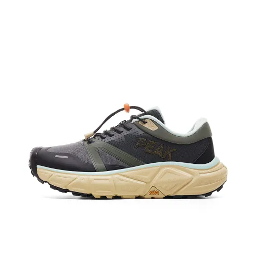 PEAK Беговые кроссовки Low Top Серый Зеленый Мужской