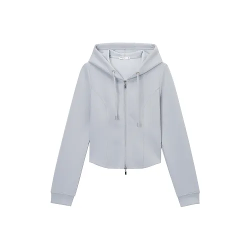 Hotwind Женские Свитшоты