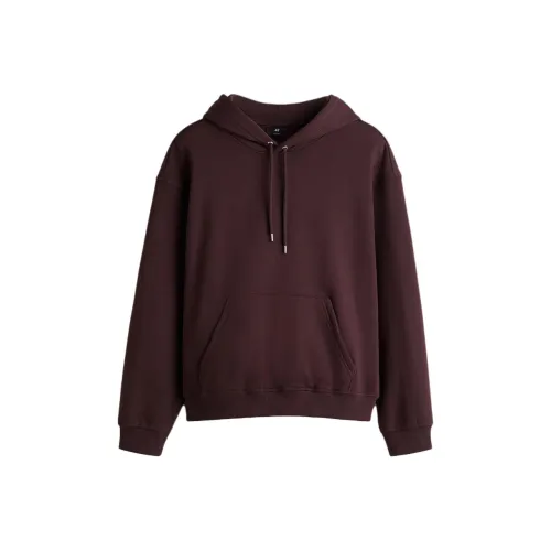 H&M Сливовый Мужской Свитшот
