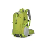 Неоново-зеленый