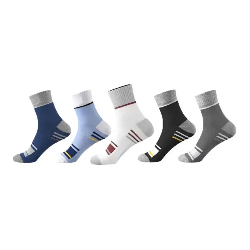 CAOBENCHUSE Мужские носки MID до икры