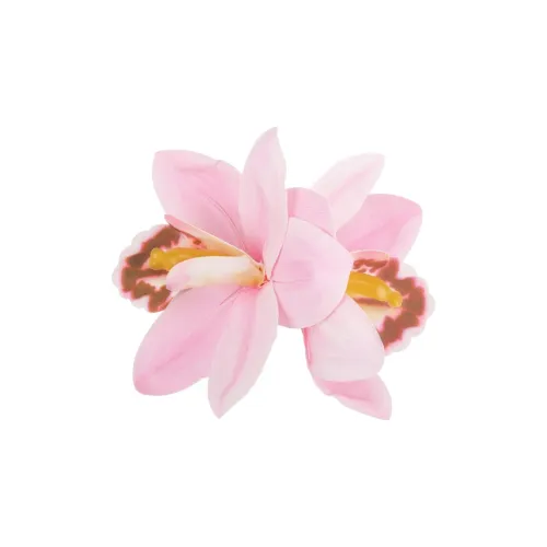 Peach Tea Пластик Заколки для волос Женские