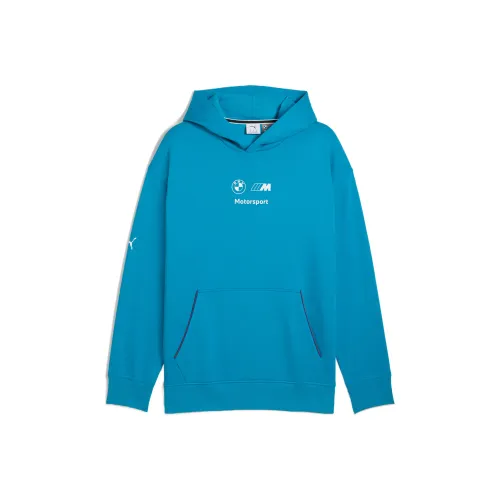 PUMA x BMW BMW M MOTORSPORT ESSENTIALS худи мужской