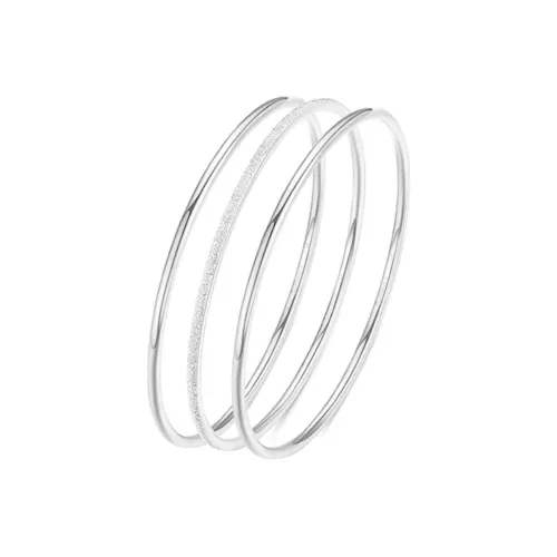 Silver Raven Титановые стальные браслеты для женщин