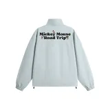 Ледниково-серый