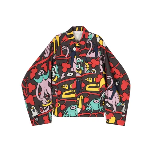 WALTER VAN BEIRENDONCK Коричневый Мужской Рубашки