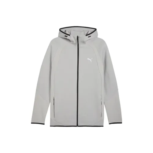 PUMA EVOSTRIPE Толстовка Мужская Серого цвета