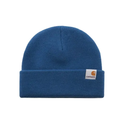 Carhartt WIP Шапки-бини Мужской Синий
