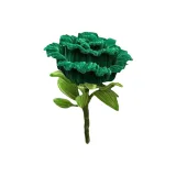 Изумрудно-зеленый гигантский розовый