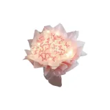 33 Double-Layer Diamond Butterfly-Pink [Полный комплект Материал Сумка]