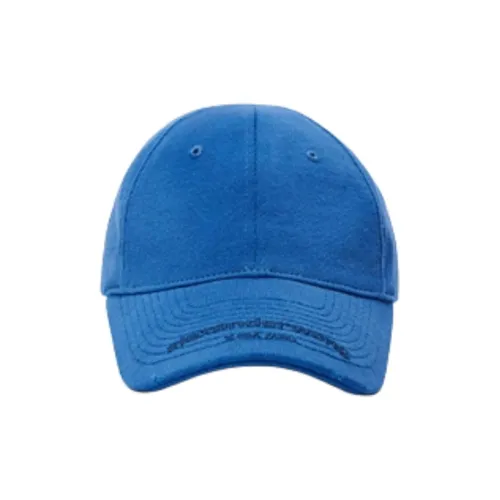 Alexander Wang Хлопок Бейсболки Унисекс Синий
