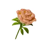 Закат Золотой гигантский розовый