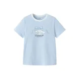 Пудрово-голубой 80005