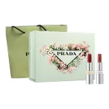 Цвет: Overlap  
Легкий: Lipstick #B03 Ugly Красный Коричневый + #B107 Naked Красный Коричневый/Коробка + Сумка для покупок