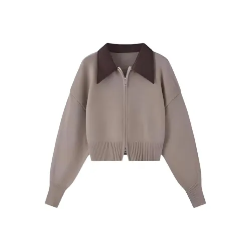 DANCANG Коричневый Женский Трикотаж