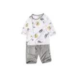 Серый ленивец