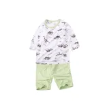 Светло-зеленый, кость, дракон