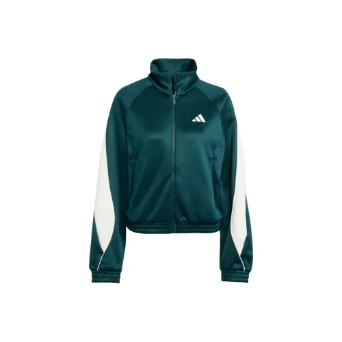 adidas Clothing Зеленый Женский Свитшот