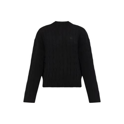 Balenciaga Трикотаж Свободный крой Женский