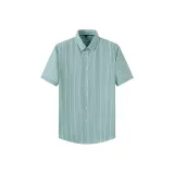 Light Green Stripes  
Светло-зеленые полосы