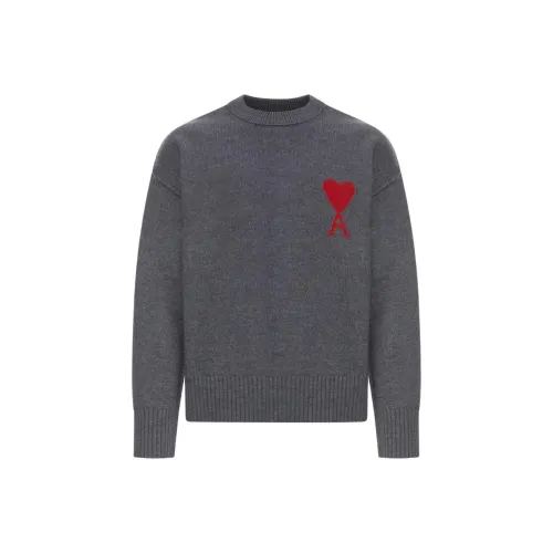 AMIPARIS FW25 Серый Мужские Свитера