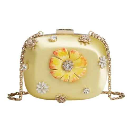 Roger Vivier Мини Женские Желтый