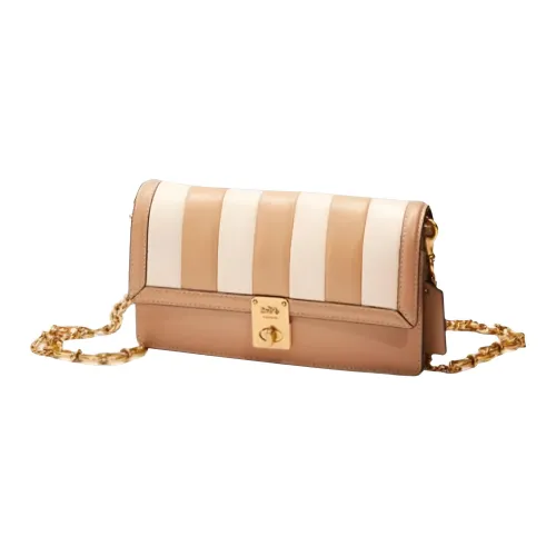 COACH Hutton Телячья кожа с кожаными вставками одно плечо клатч маленький женский латунь меловый разноцветный
