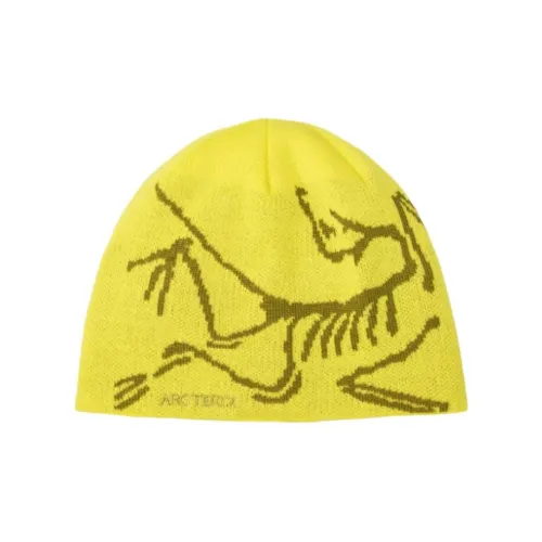 Arcteryx Шерсть Бини Унисекс Желтый