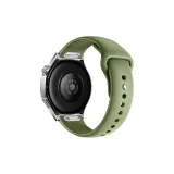 Ель Зеленая