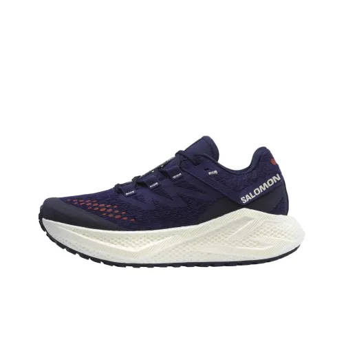 SALOMON Aero Glide 3 Беговые кроссовки Женские