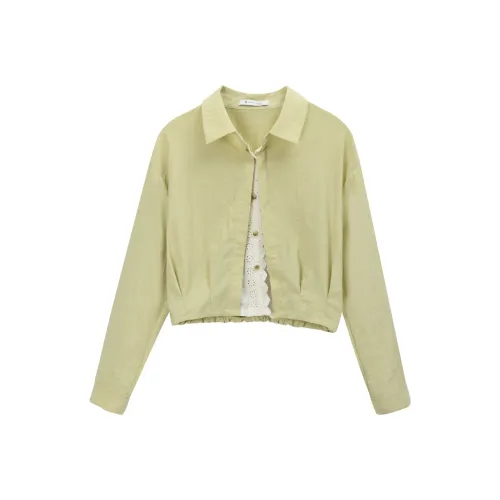 MISHOW Оливково-зеленые Женские Рубашки