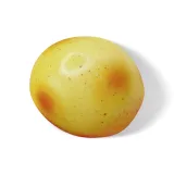 Жидкость картофельная