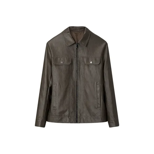 HLA Темно-коричневый узор T9 Мужские куртки