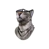 Вицен Кошка